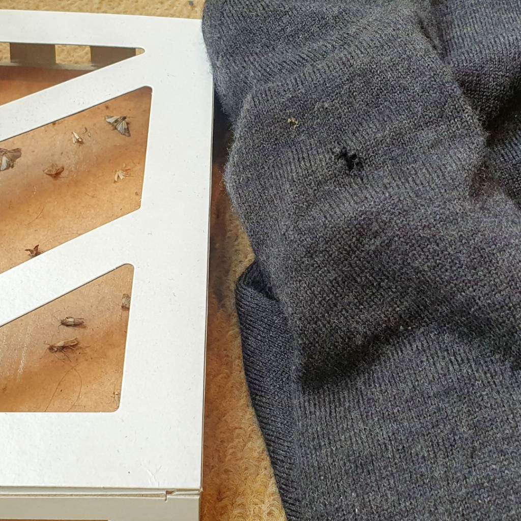 kledingmot-gat-in-kleding