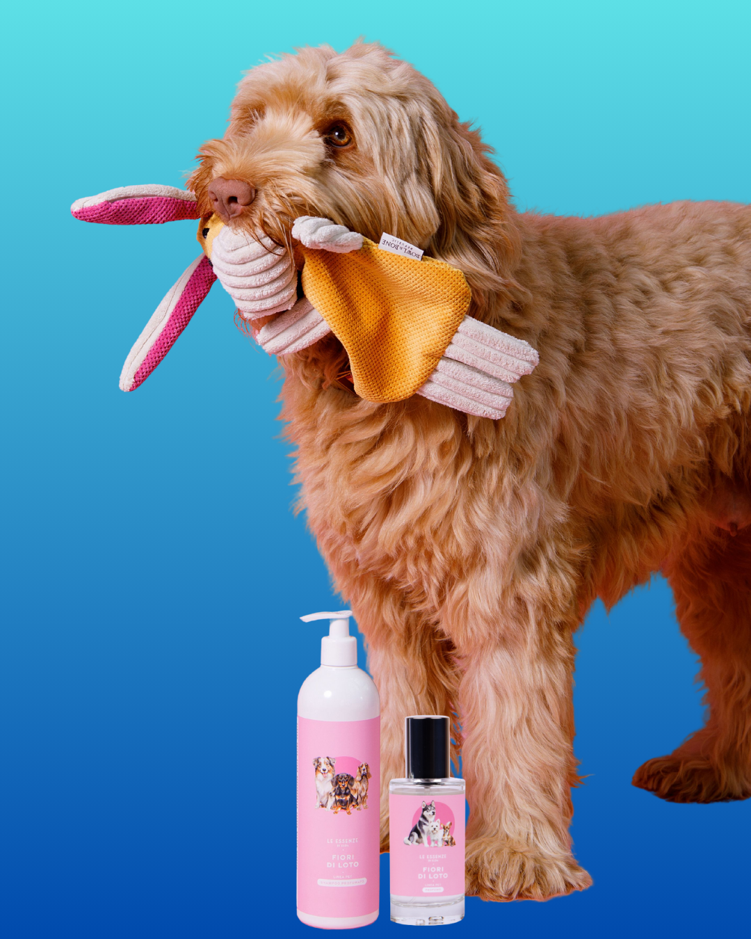 Hondenshampoo Fiori di Toto - Afbeelding 2